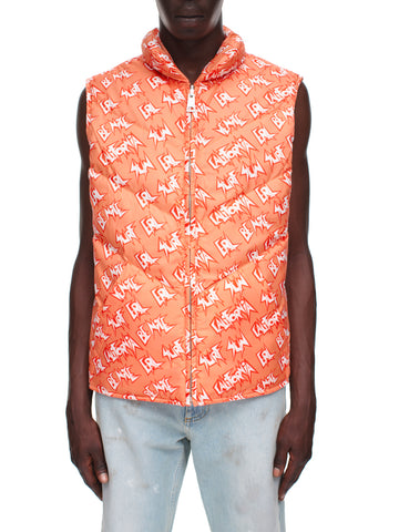 Gucci Louis Vuitton sleeveless Vest Zip Hoodie