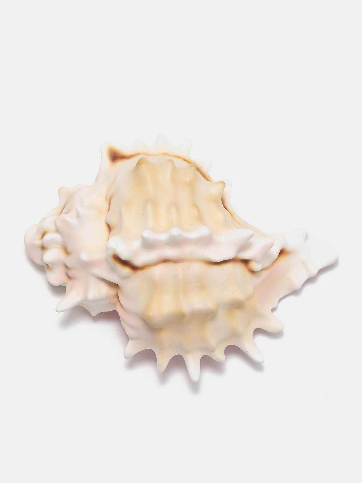 Conch Shell Hair Pin (CONCH-SHELL-HAIR-PIN-MULTI)